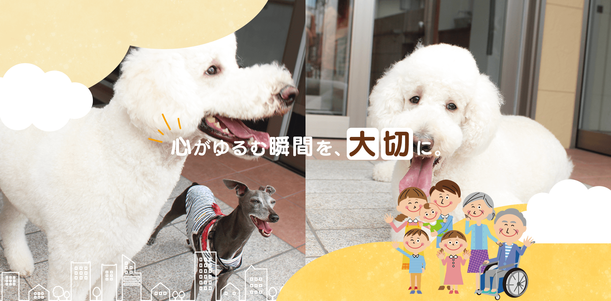 一般社団法人希綾会